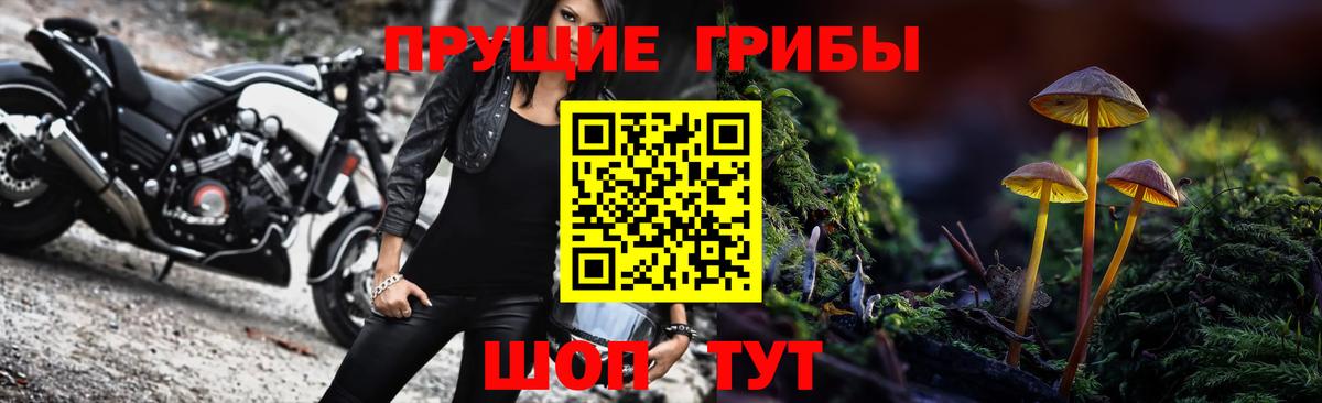 Псилоцибиновые грибы прущие грибы  Вход с VPN  Новоалександровск 